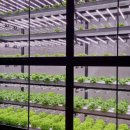 이부산농장 이미지