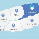 헌치카페