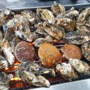 양곡사 | 천북굴단지 굴구이 맛집 후기│겨울 제철 별미 굴찜·굴밥까지 산지에서 먹은 솔직 리뷰