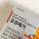 메가테크 | 파이토테크 코큐메가 오메가3 내돈내산 혈압관리 후기