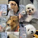 메가플러스(주) | [2024 메가주(하)]왕복 열시간 당일치기 메가주 하반기 후기