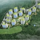 세곡-101 이미지