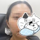 커피스미스(성남점) | [wedding]결혼식 전날 가족과 함께한 호캉스 • 소피텔앰버서더 서울 호텔 미오 디너 오마카세 코스요리