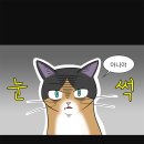 하이냥이 이미지