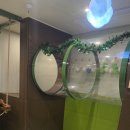 펜션 시즌 | 피코 키즈풀빌라 울산펜션 크리스마스 시즌 가족 여행 후기