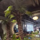 AK플라자 원주점(1층) | 원주AK플라자 카페 랑데자뷰 내돈내산 후기