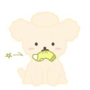 우리펫살롱 이미지