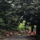 큰황골가든 이미지