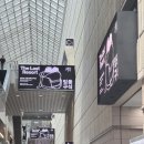 이조컴퍼니 | 2025 서울국제도서전 6시간 뺑이친 후기 가열차게 올립니다 (나야 서국도 가려고 연차낸 사람)