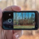 팜 (palm) 이미지