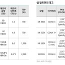 버블