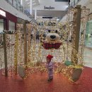 뉴욕소공동순두부 | 55. 학습되어지는 관계(감사 993)