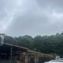 장작골 | 고기리 대왕골 장작 통닭구이 맛집 내돈내산 후기