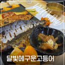 달빛의 대화 | 광주 첨단 맛집 달빛에구운고등어 첨단점 생선구이 솔직후기
