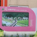 가마미해수욕장 네이버블로그