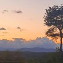 休 운암 | 初庚日 (초경일) - 蔡濟恭 (채제공)