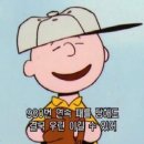 아셀 이미지
