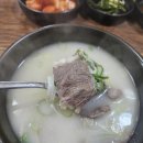 반월호수 | 군포 반월호수 설렁탕 맛집 반월옥 솔직 후기 | 주차 편한 한식 맛집 추천