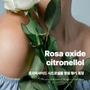 로넬라 | 로사옥사이드 시트로넬롤 향료 향기 특징
