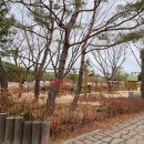 영천제1어린이공원 이미지