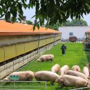 성지농장 이미지