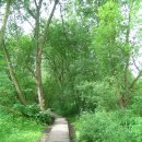 모스가든 이미지