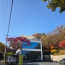 하우카페 | [카페 추천_시흥] 단풍 구경은 "하우앤여우" 시흥 뷰 맛집 카페 내 돈 내산 솔직 후기