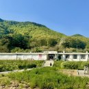 성암미술관 | [청주근교카페] 보은 일상화카페 | 폐교카페 | 내돈내산 방문후기