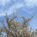 꽃나루공원화장실 이미지