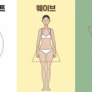 하디즈