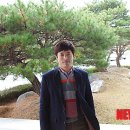 무지개복사 이미지