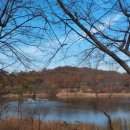 김재로묘 | 거마산 성주산 소래산 김재로묘