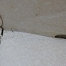 성심환경 이미지