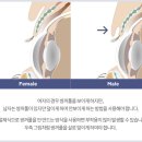 서연성형외과의원 이미지