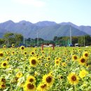 산외면행정복지센터 이미지