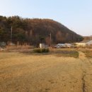 기승전컷