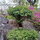 단양읍사무소 이미지