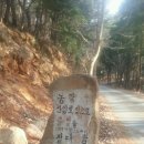 케이목장 Daum카페