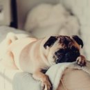 매니져세탁소 이미지