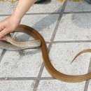 대구북부소방서 앞 이미지