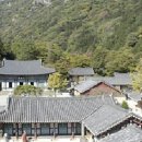 장성주유소 이미지