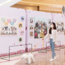 꽃길걷개 이미지