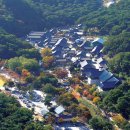 통도사로 이미지