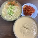 서울노보스병원 | 끄적끄적 나의 서울 기록들💛📋