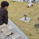 리치웰니스 | 모악산이 들썩! 웰빙+건강+행복 다 잡은 '제3회 완주 모악산 웰니스 축제' 꿀잼 후기!