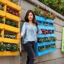 수락당구장 이미지