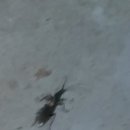 하늘과 땅사이 힐링 스테이 이미지