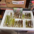 진건오남로124-7 | 남양주 세진 수족관 주말 방문 후기+수초사기