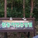 원동자연휴양림(양산) 이미지
