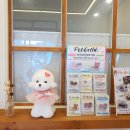 깡지하우스 이미지